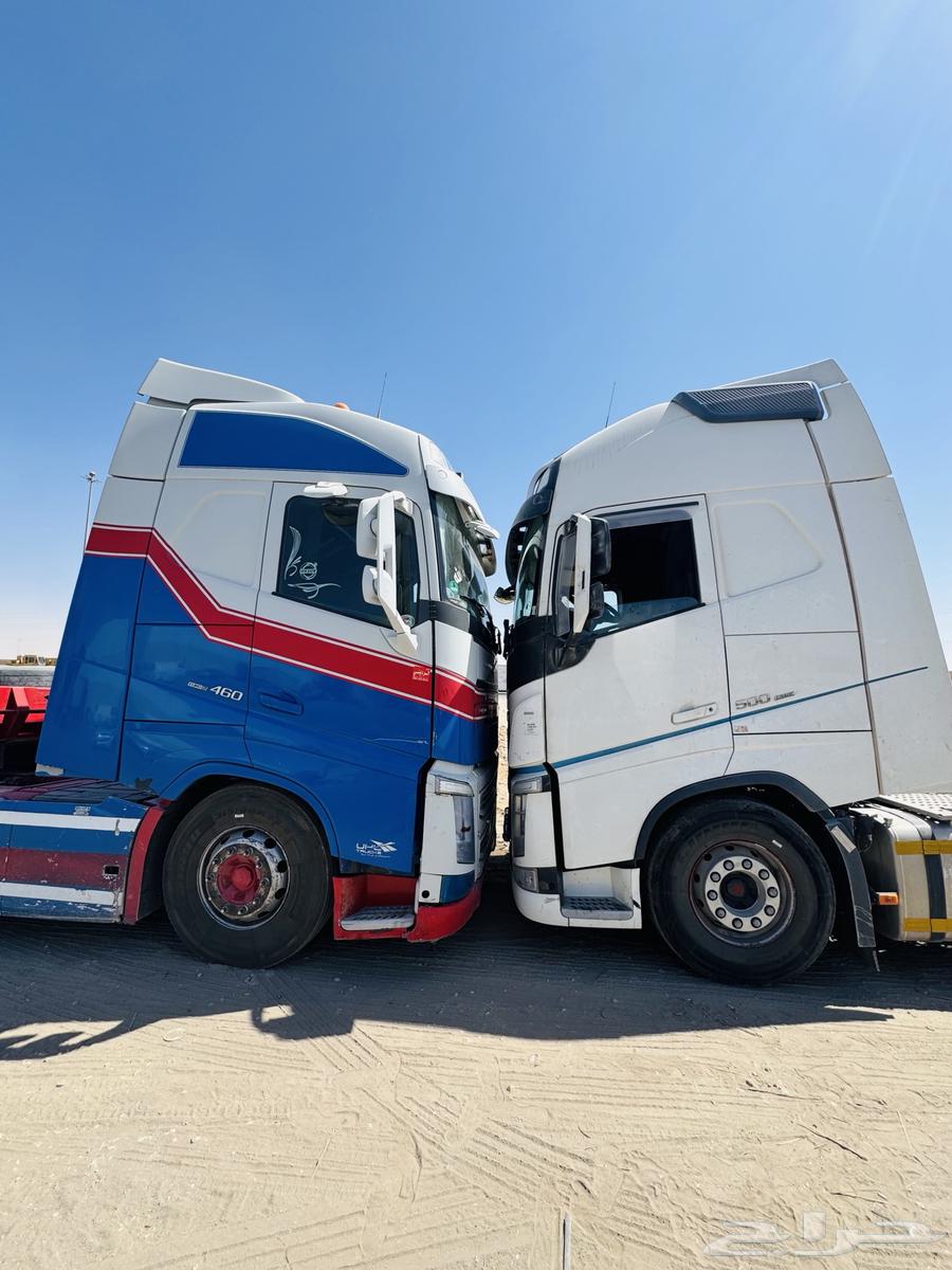 لوبد في الدمام الرياض64458214173698113