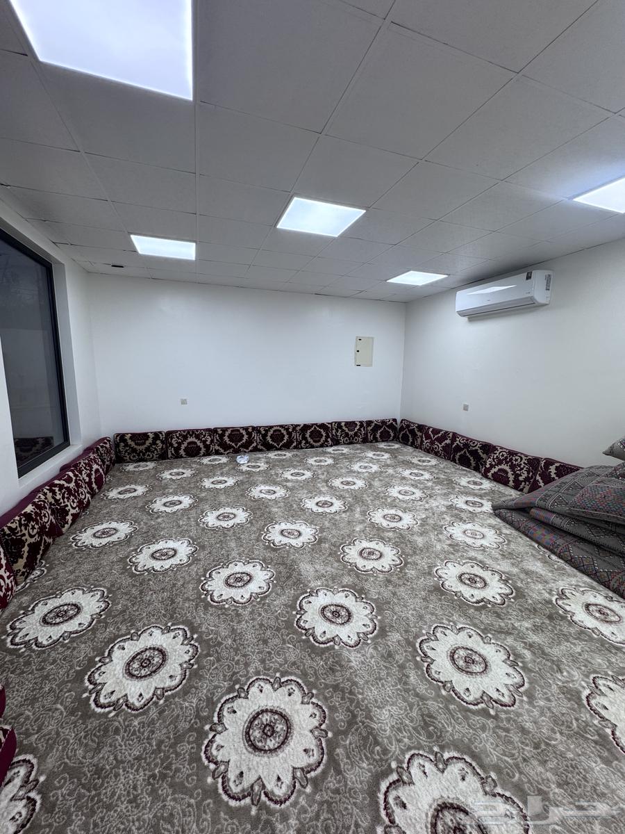 شاليه للايجار الموقع بريدة العريمضي64457941869826111