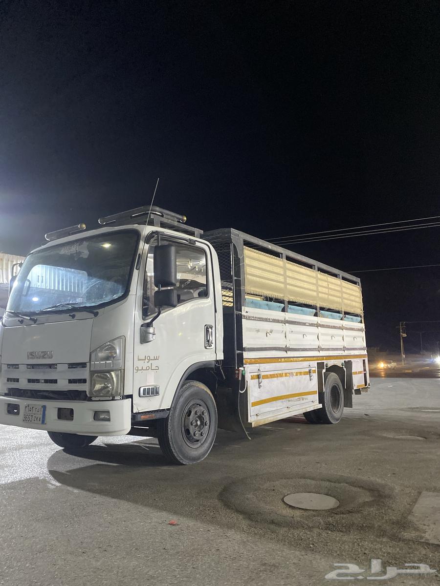 مشوار تيماء الى تبوك جهز بكل وقت64458392836610110