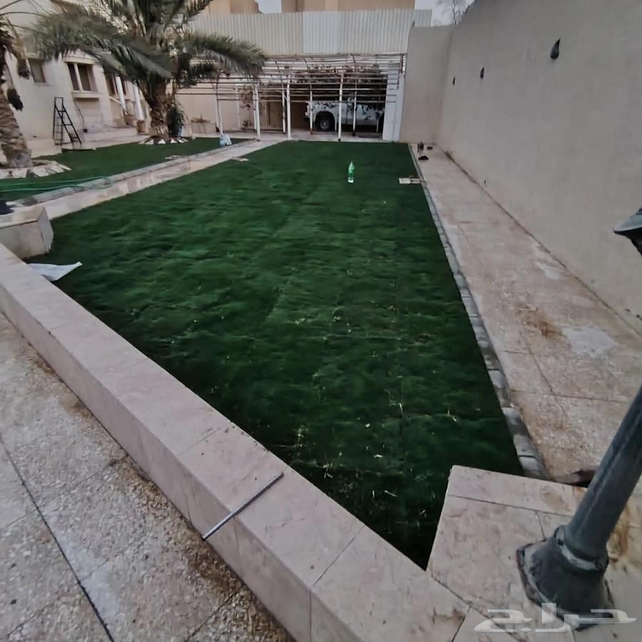 زهور طبيعيه ثيل طبيعي تمديد شبكات ري انجيلة طبيعي64458054890242112