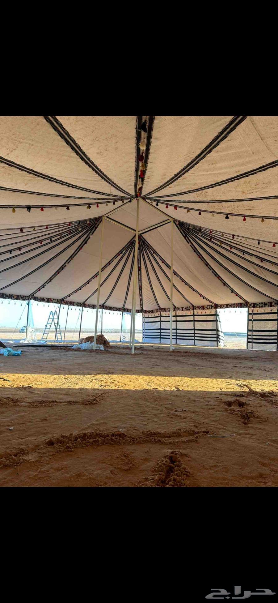 بيوت شعر للبيع64458214134403111