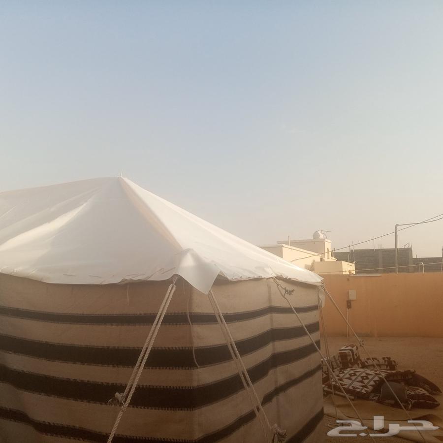 تركيب خيام الصباحيه ماشاء الله الله يبارك لصاحبها64423354174466113