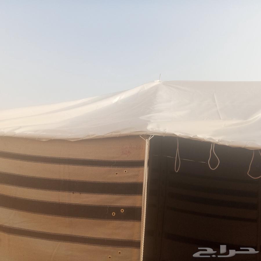 تركيب خيام الصباحيه ماشاء الله الله يبارك لصاحبها64423354174466114