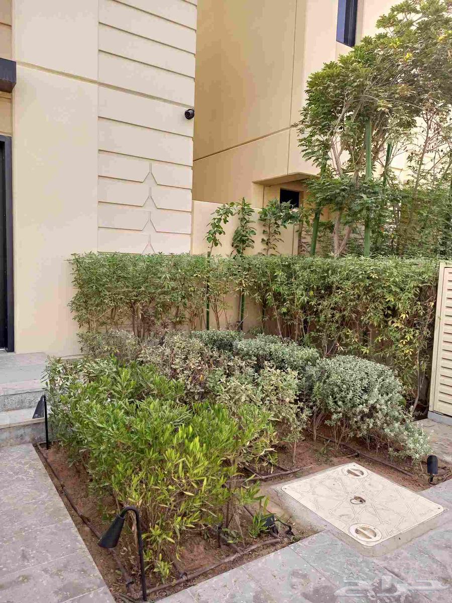 تقديم جميع خدمات تنسيق وإنشاء الحدائق  تركيب شبكات الري  الد64458540489729111