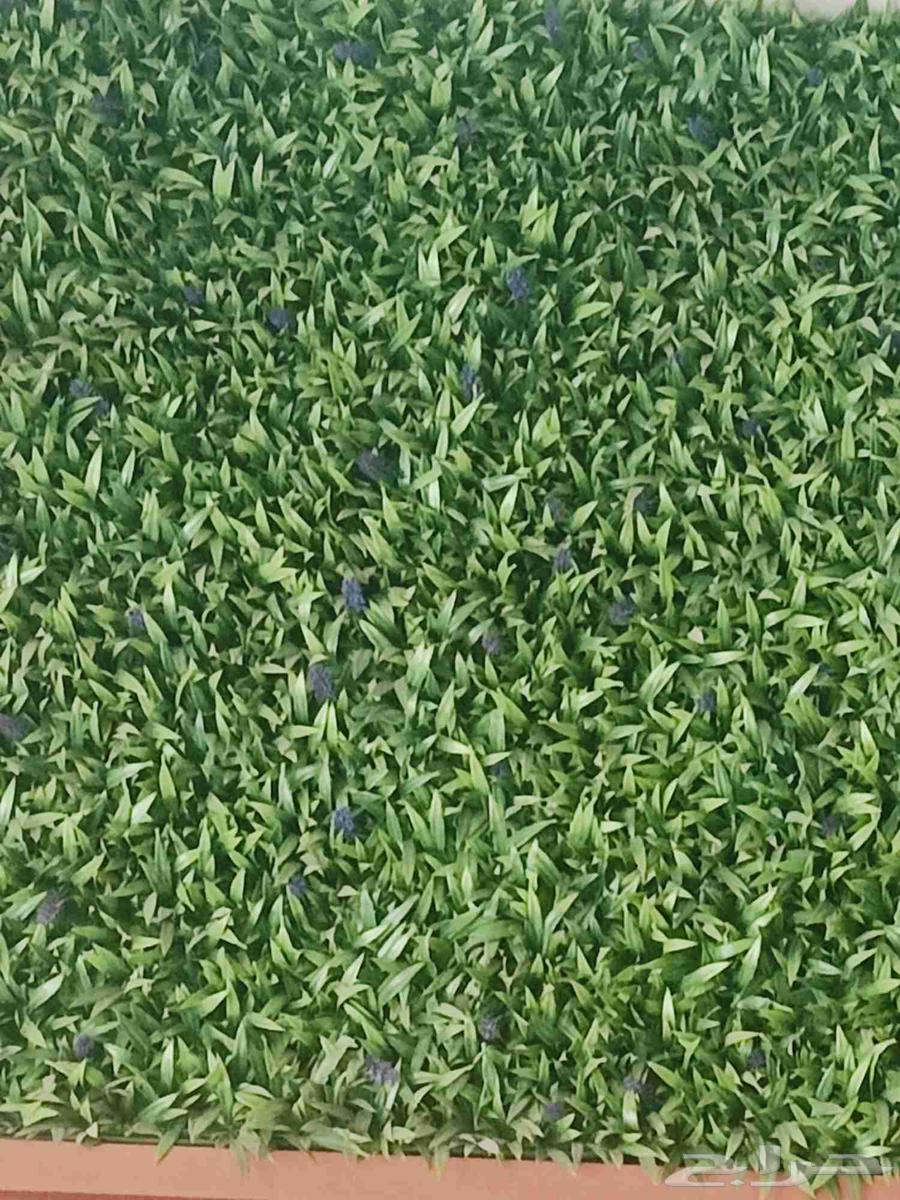 ثيل صناعى وعشب بالرياض64581676491138113