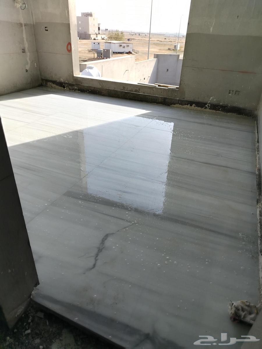 معلم بلاط ورخام مصري64458184562434111