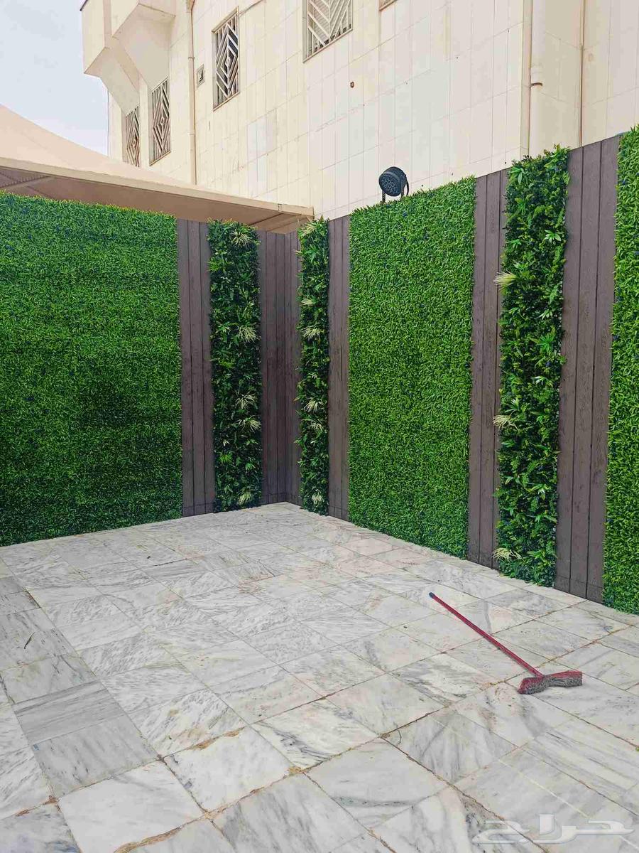 ثيل صناعى وعشب بالرياض64581676491138110