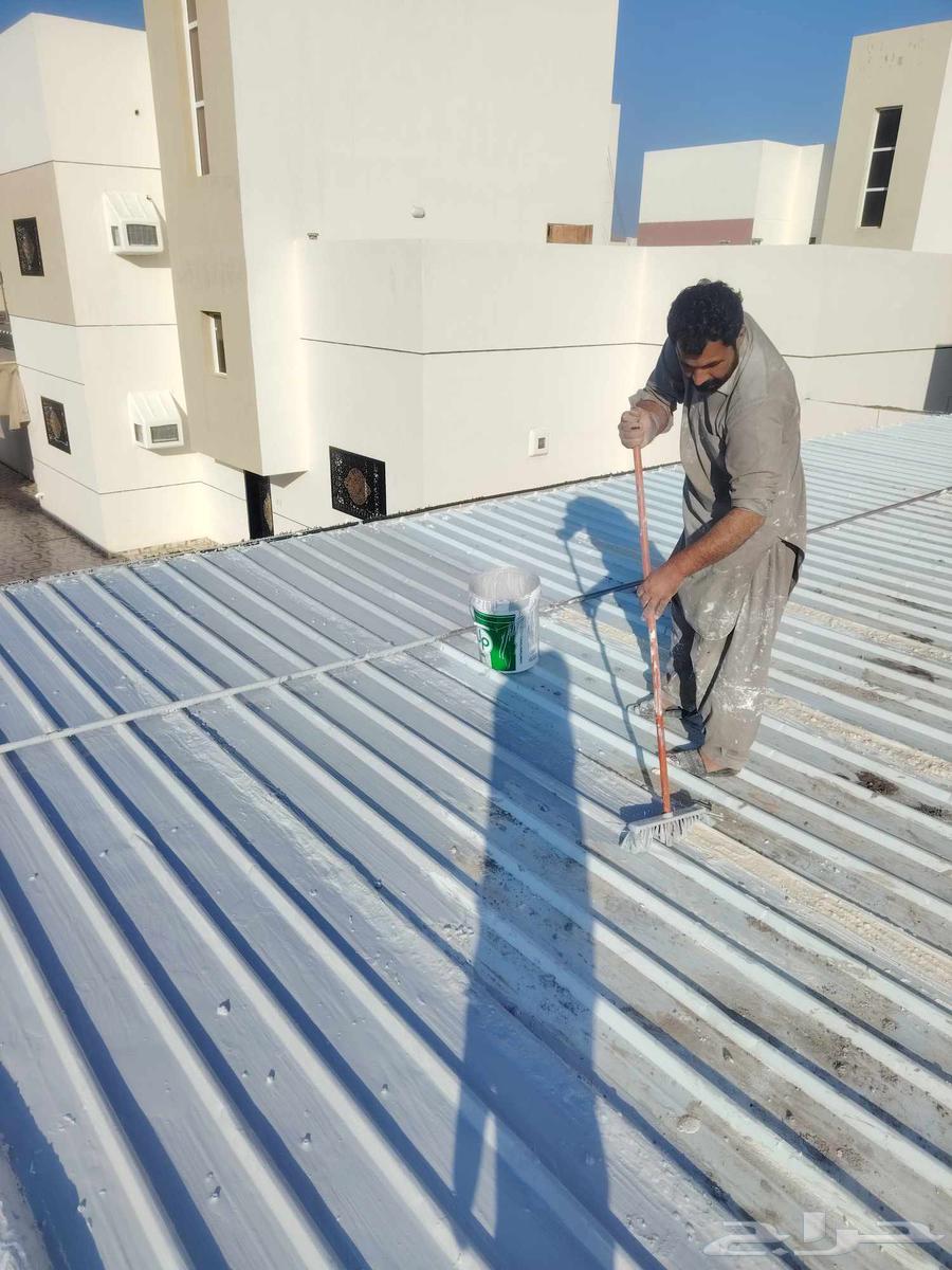 عازل واسطع وشنيكو وعواذل صباغ دهان حائل64458511289857114