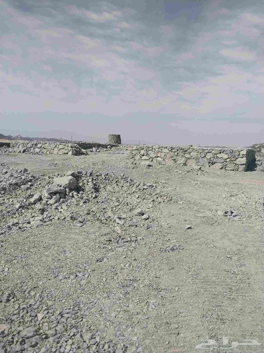 مقولات عامه64423118374913110