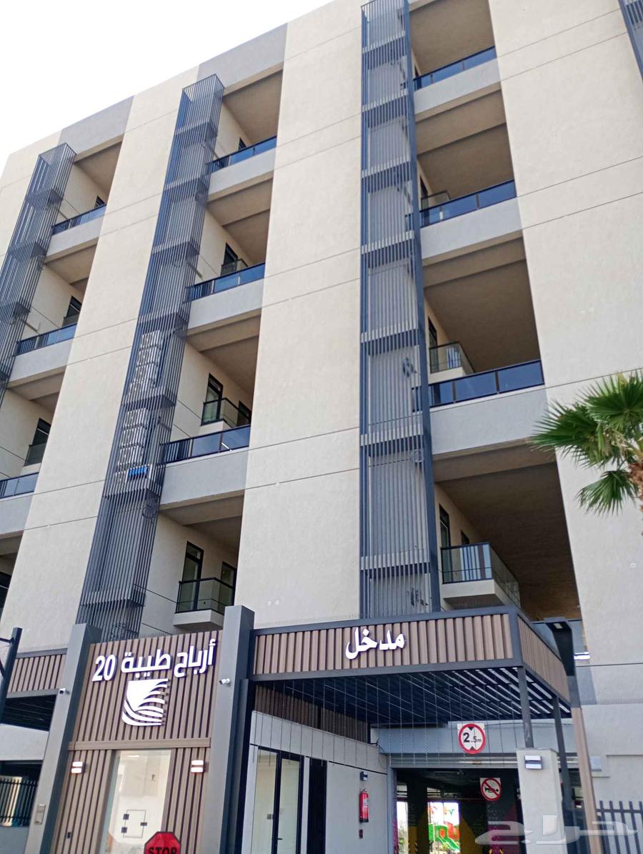 م مصري متحصصون في جميع أعمال البروفايل والدهانات والديكورات64458087257089111