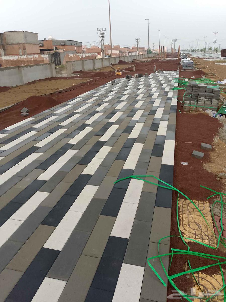 Tomato installation and interlock in Jizan, Abu 'Arishe, Sabia64458333459459112