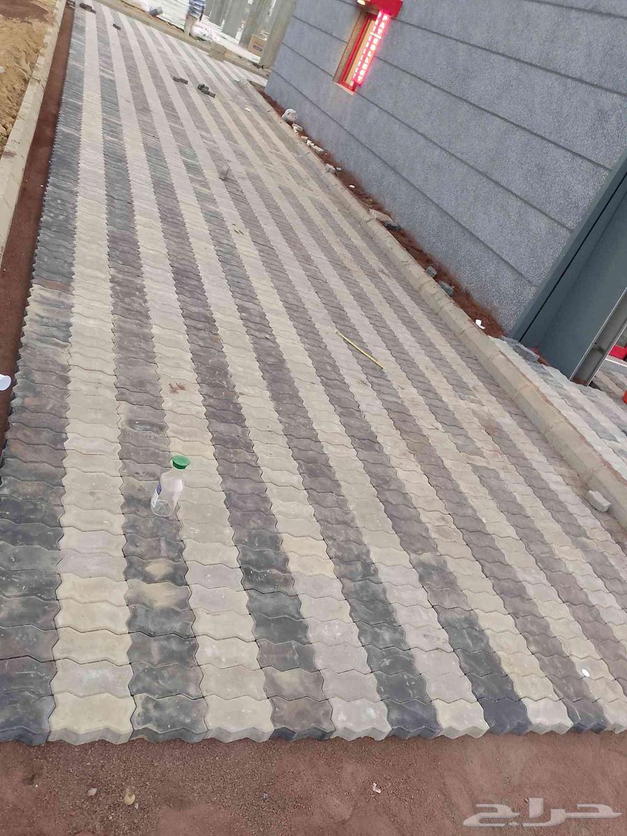 Tomato installation and interlock in Jizan, Abu 'Arishe, Sabia64458333459459111