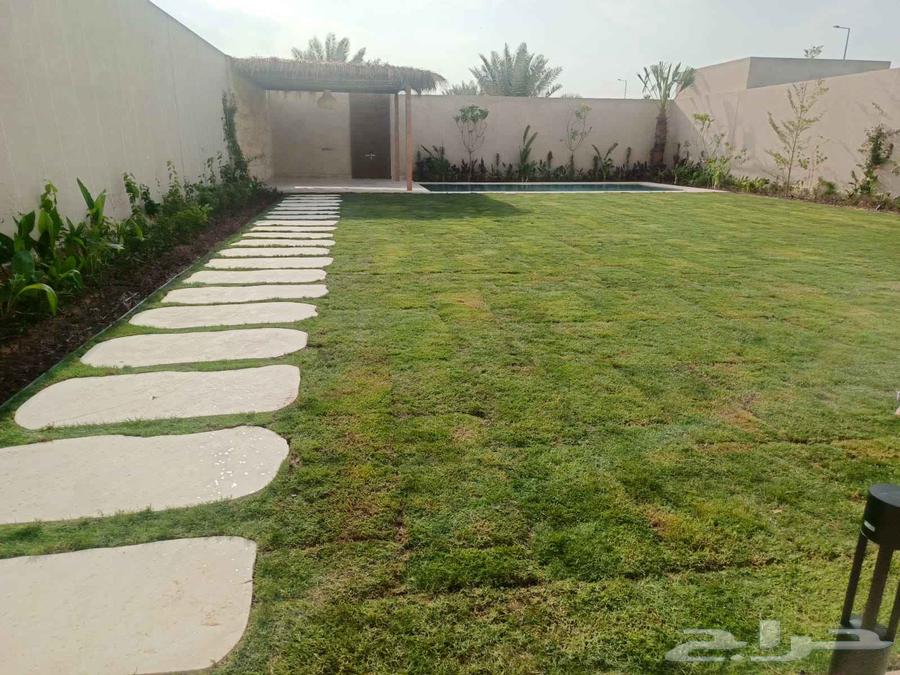 زراعة وتنسيق الحدائق وصيانة64457907015298110