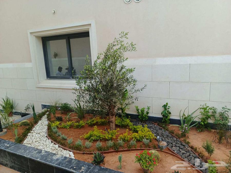 زراعة وتنسيق الحدائق وصيانة64457907015298111