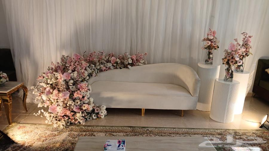 كوش الطائف64423353553281112