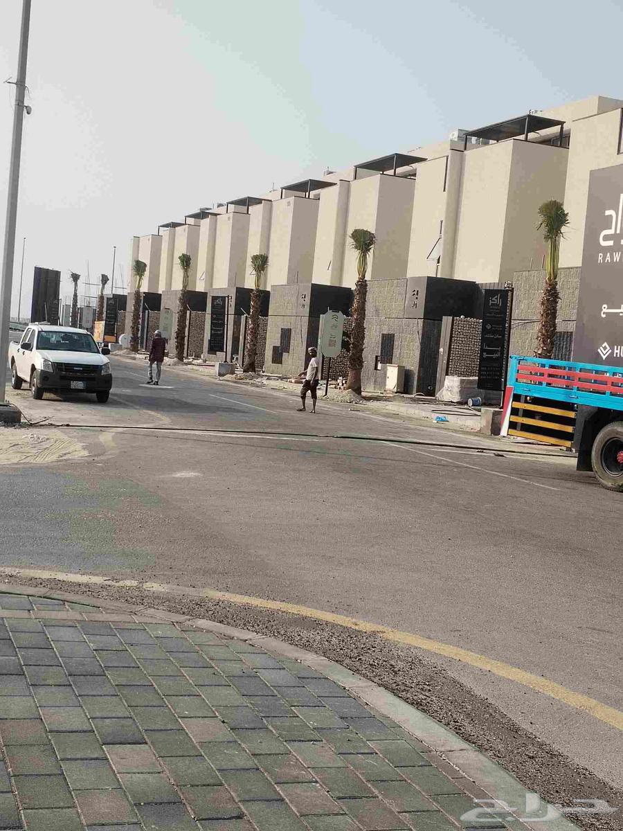 Pruning, shaping, cleaning, removing, and planting all types of palm trees64458318704385113