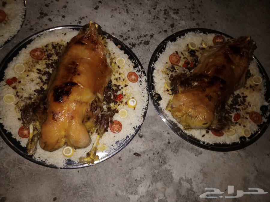 طباخ متنقل ابو غازي64458243913089114