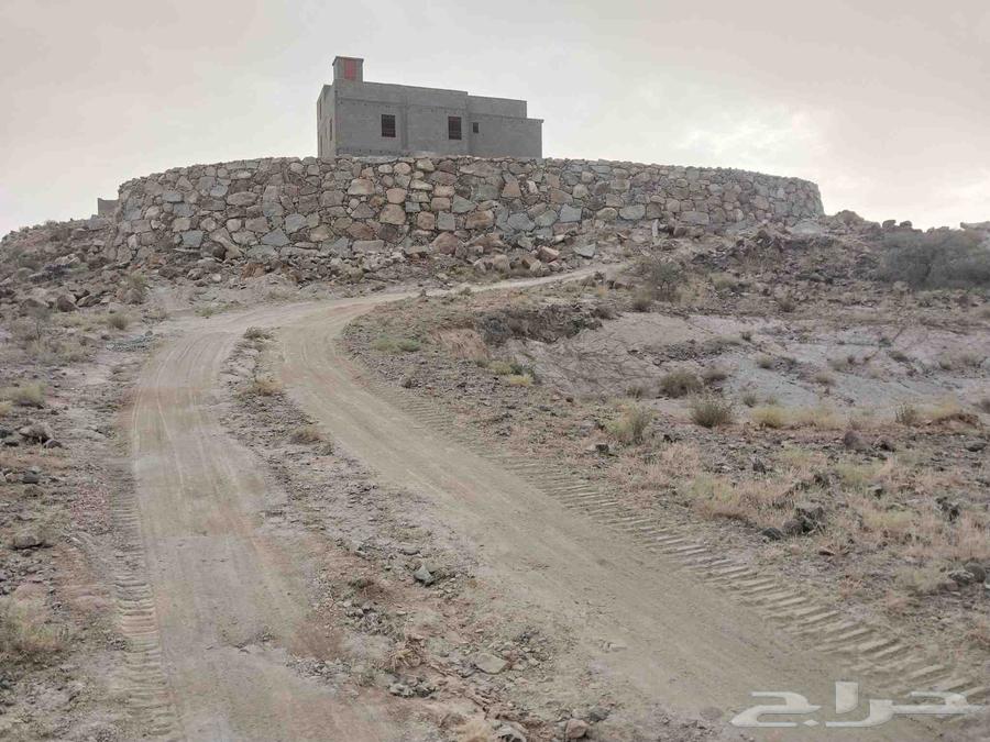 مقولات عامه64423118374913114