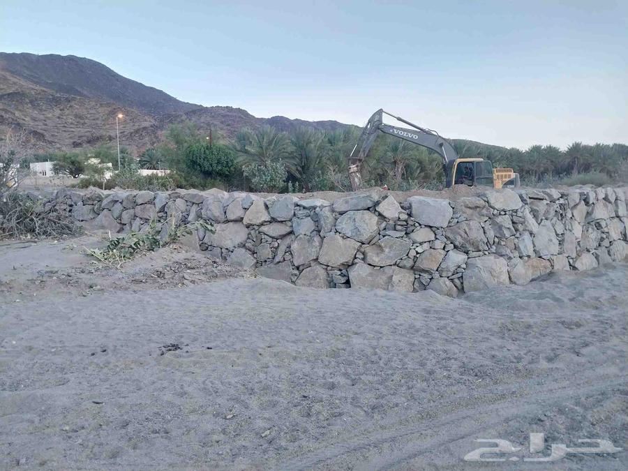 مقولات عامه64423118374913113