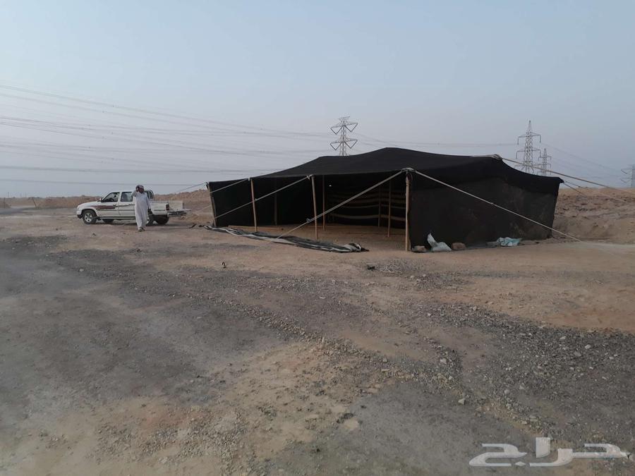 بيوت شعر للبيع64458214134403113