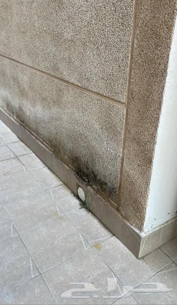 Water Leakage Detection and All Types of Insulation64457991291905113