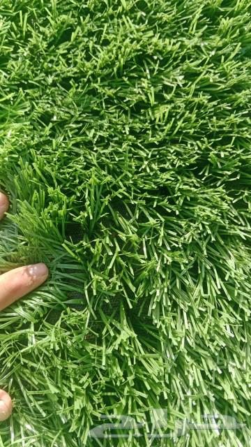 Artificial Grass Installation Technician64458467058433111