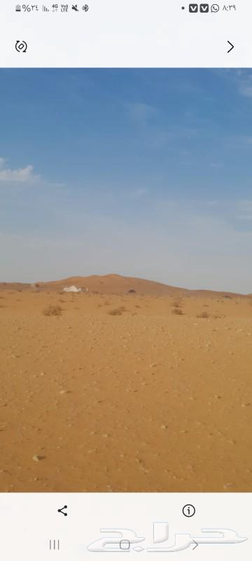 موجود في مخيم في الحساب للبيع اثنين بيوت شعر سود وخيمه بيضاء64458466898435110