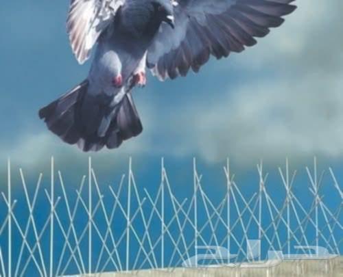 شركة تركيب طارد اشواك الحمام بمكة شركة مكافحة حشرات بمكة64423353648386110