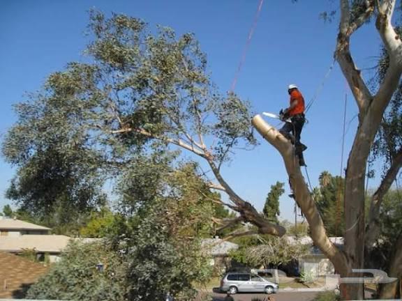 We have workers for all services; contact us and we will serve you directly64481127945089110