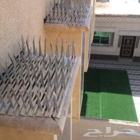 شركة تركيب طارد اشواك الحمام بمكة شركة مكافحة حشرات بمكة64423353648386113