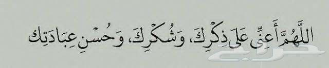 I need excavators and loaders. Recent models with annual contracts...64524559099010110