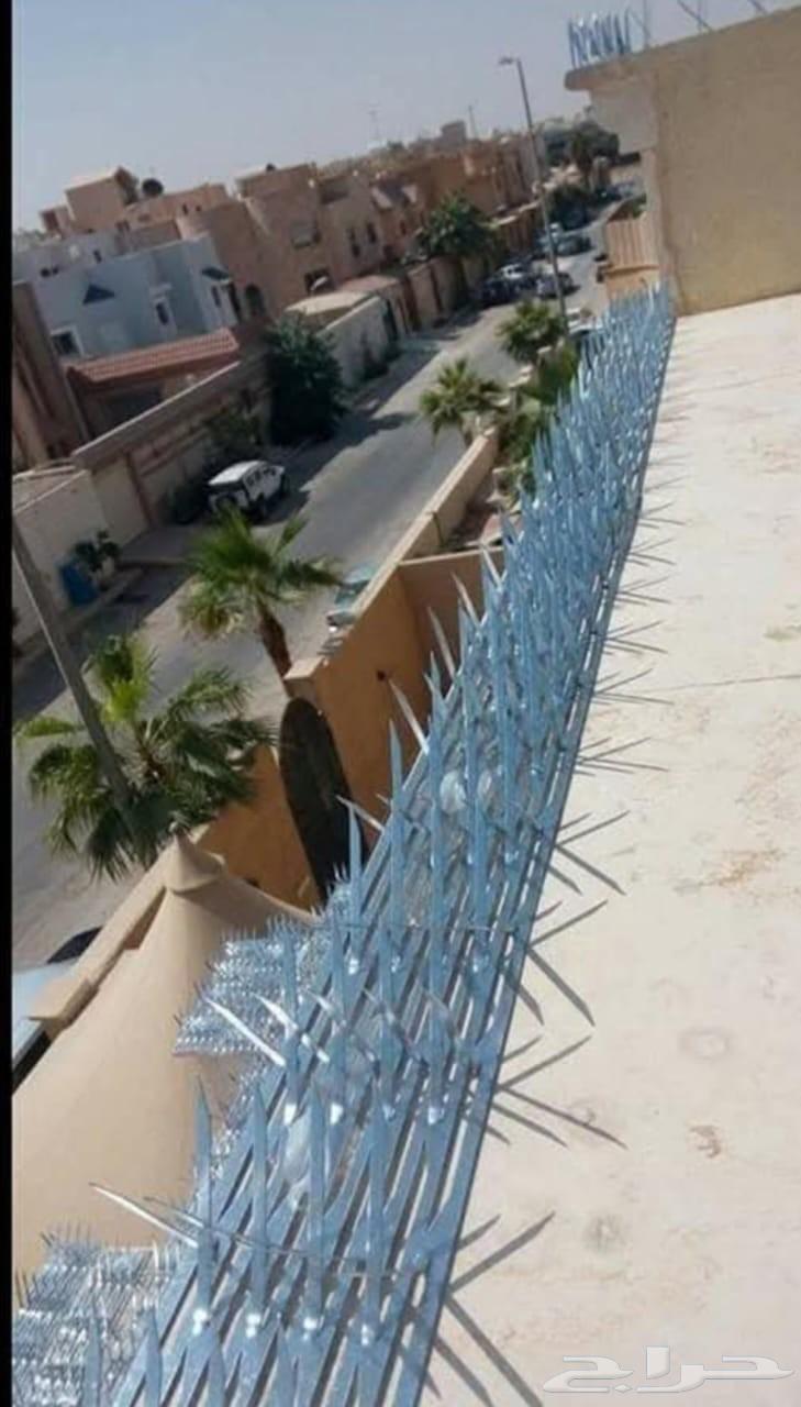 شركة تركيب طارد اشواك الحمام بمكة شركة مكافحة حشرات بمكة64423353648386112