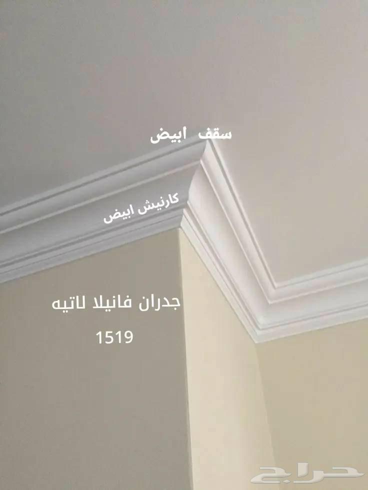 صباغ الجبيل وعوازل64458407910786113