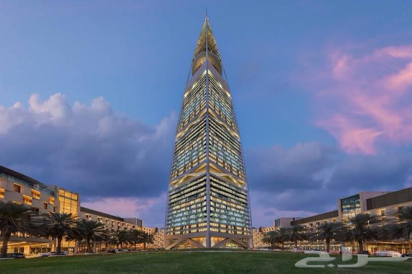 مطلوب شريك تجاري64423354827779110