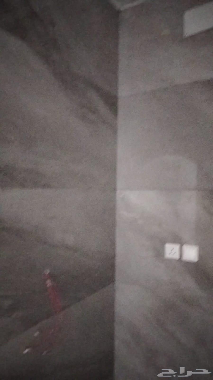 مبلط مصري راسلني واتس64423338615810113