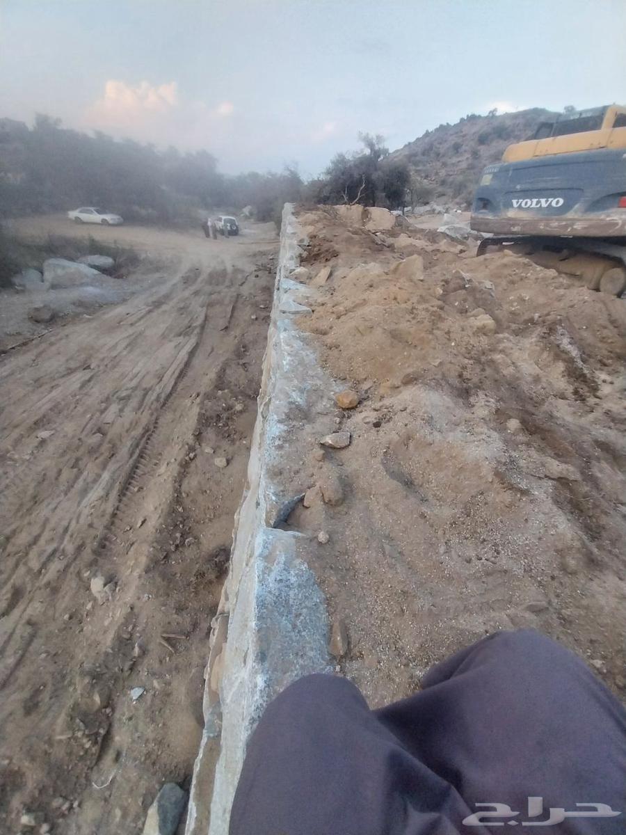 مقولات عامه64423118374913112