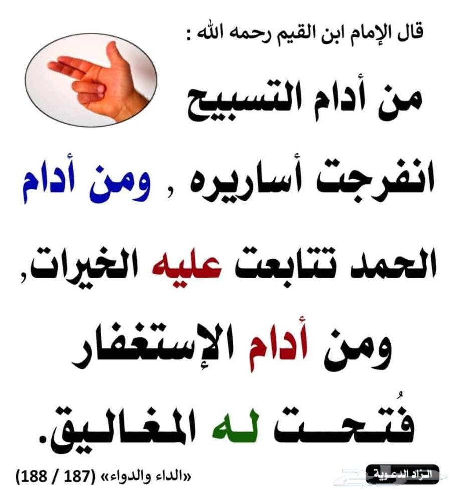 مطلوب شقة في مكة64423164871043110