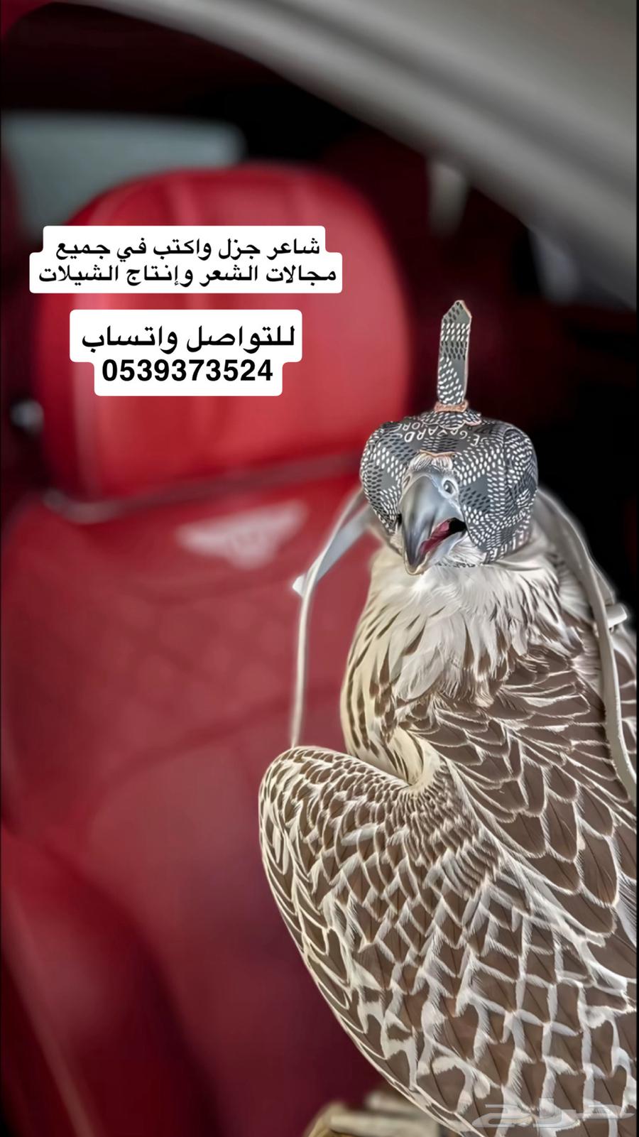 A skilled and proficient poet in writing poems and producing Sha'elas64459259792897110