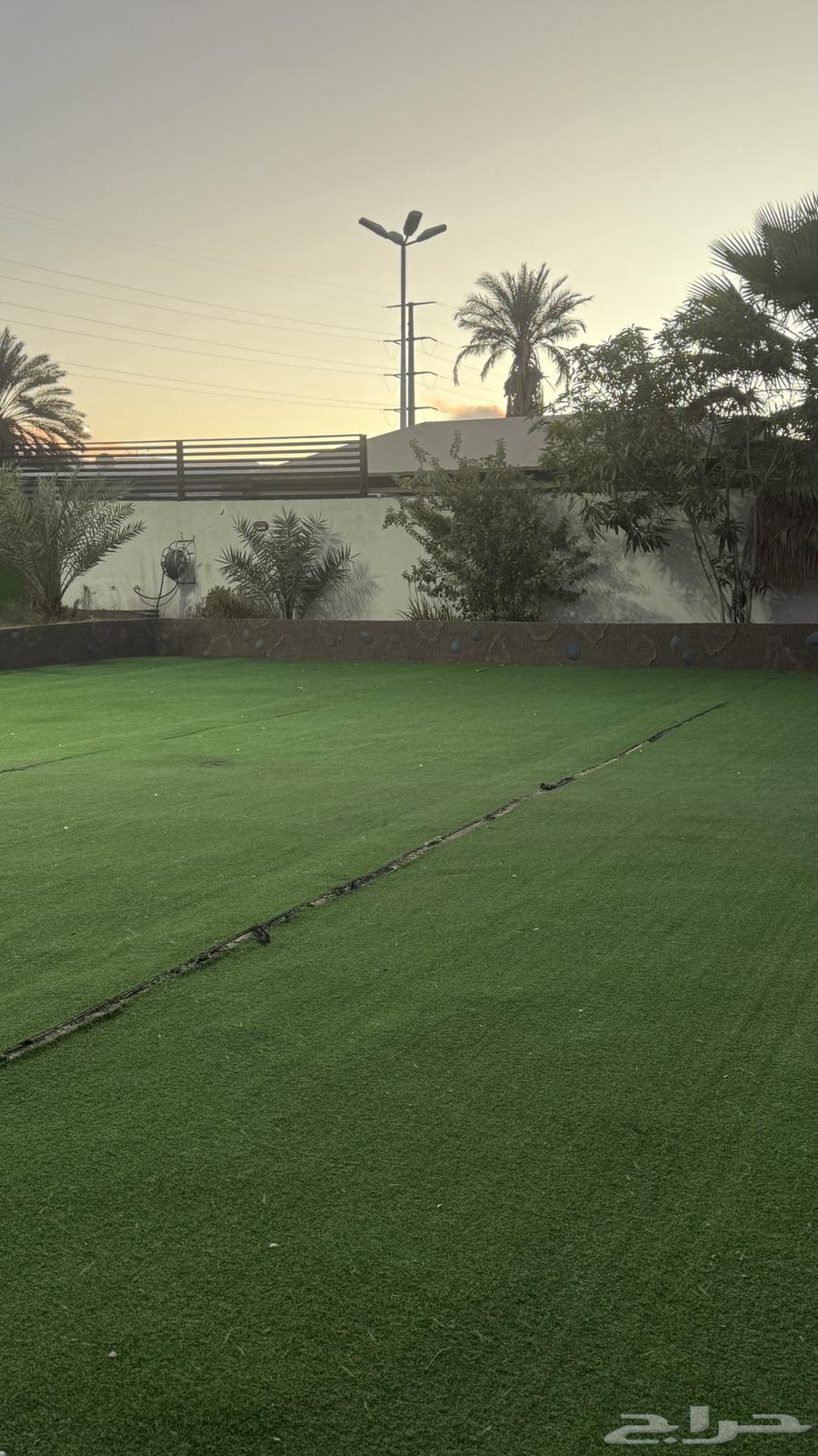 ديوانيه للايجار الشهري64458022681603110