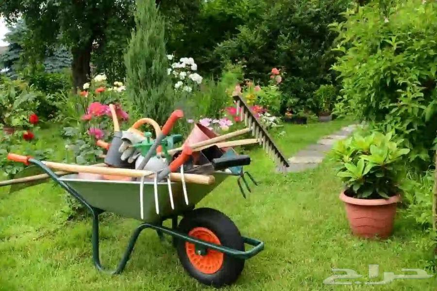 صيانة حدائق بمعايير عالية ونتائج تبهرك حول حديقتك لواجهة64459274494594111