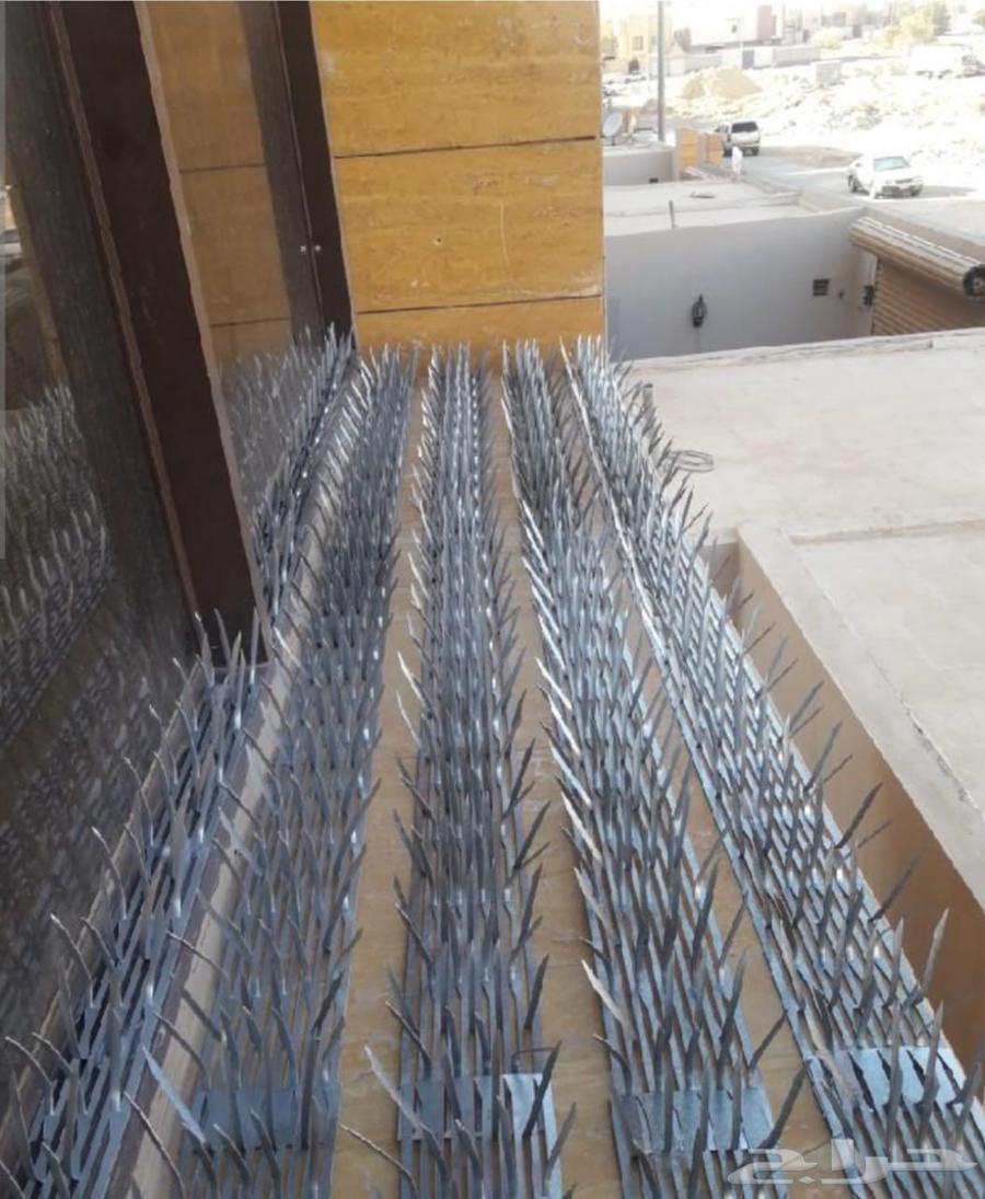 شركه المتميز غسيل الكنب والسجاد64458930356609113