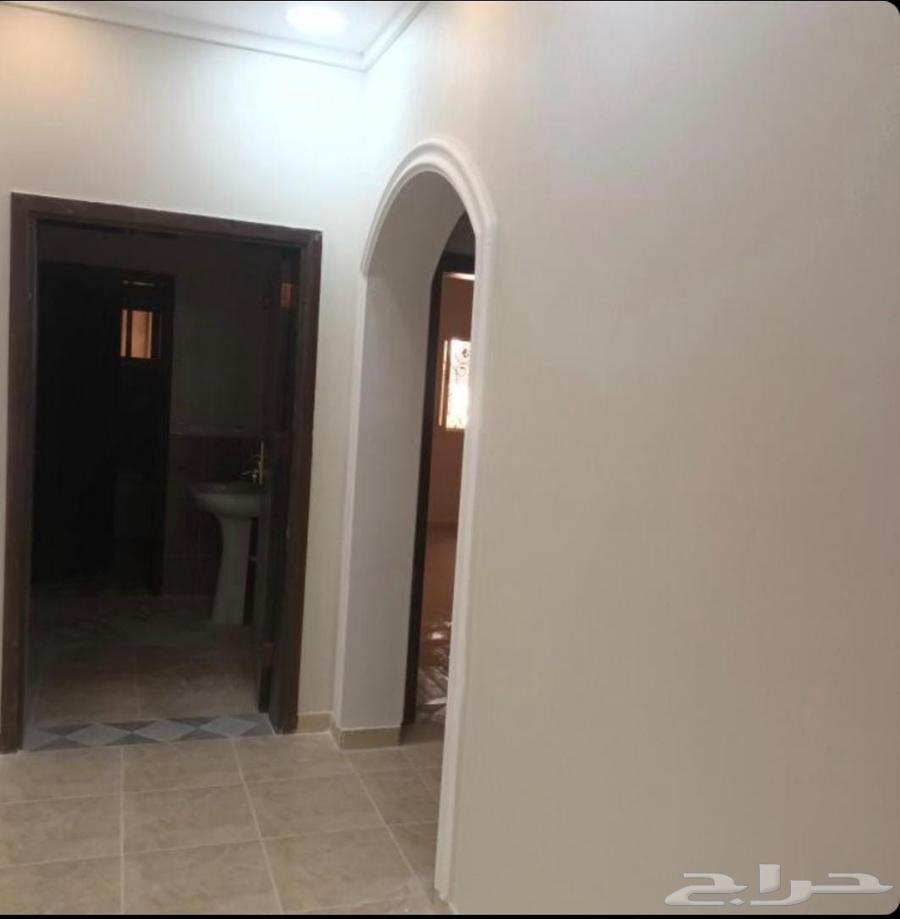 معلم بناء وبويا وبلاط جميع أعمال المقاولات والحدائق ينبع64459394337026113