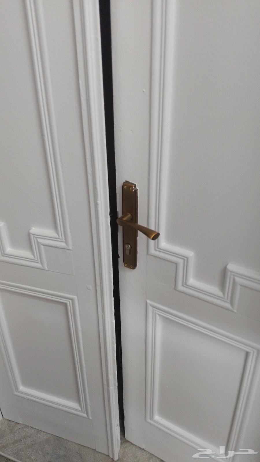 Taif Paint Master for All Types of Paints and Decorations64458703856514111