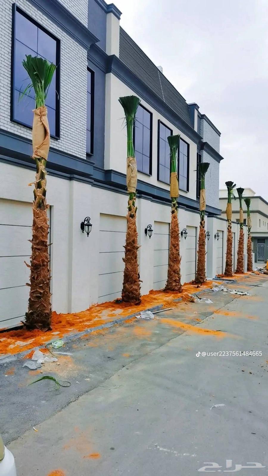 نحن مؤسسة مقاولات عامه 1الشبوك64459349496194114