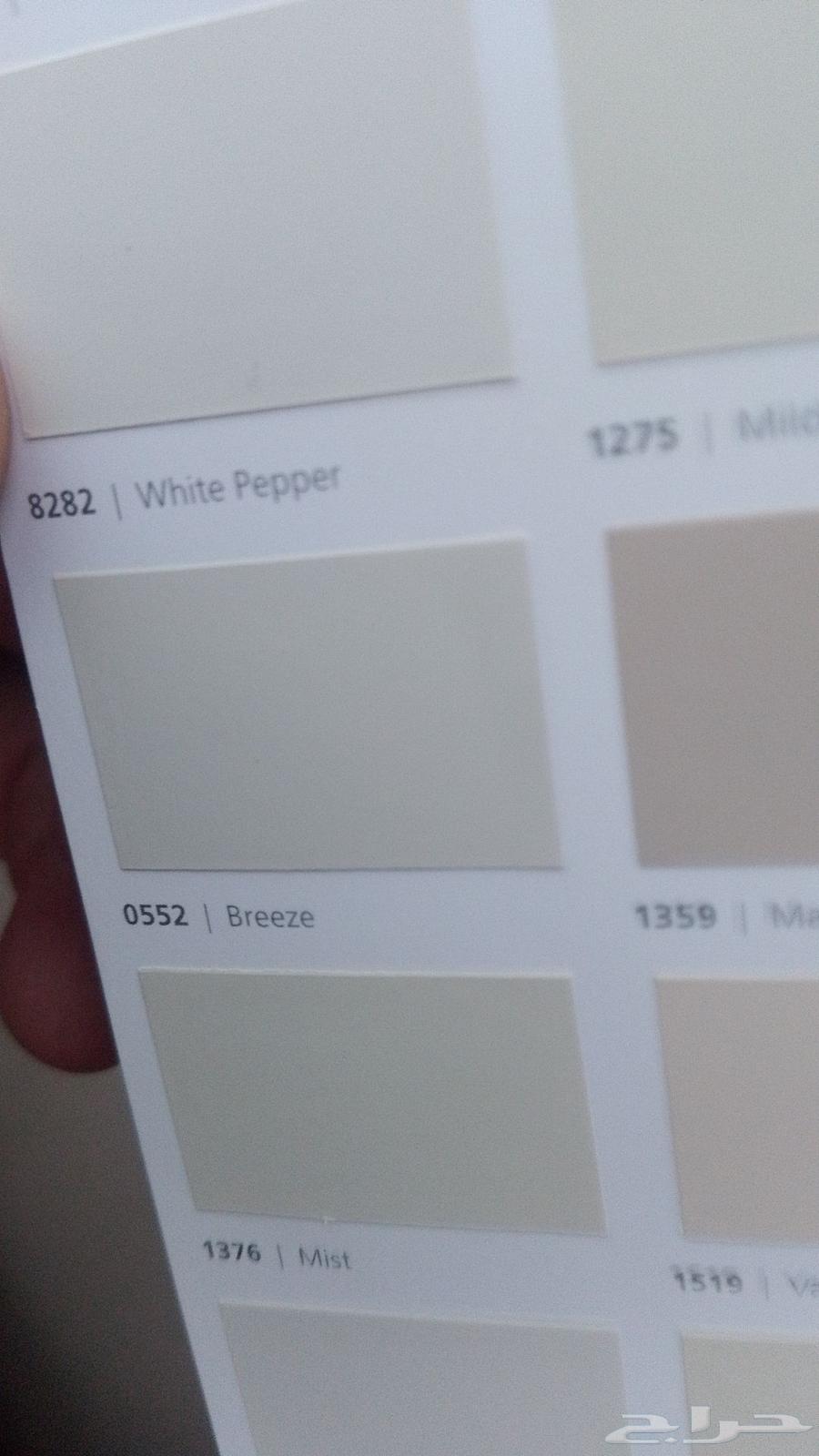 Taif Paint Master for All Types of Paints and Decorations64458703856514110