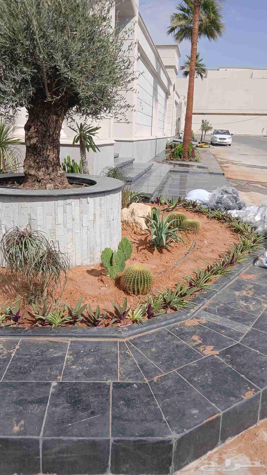 Nursery for landscaping, garden arrangement, and installation of all irrigation networks64459379113986111