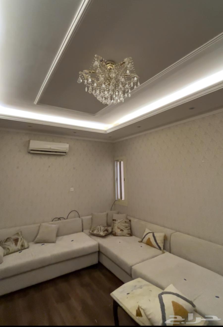 شقة للإيجار