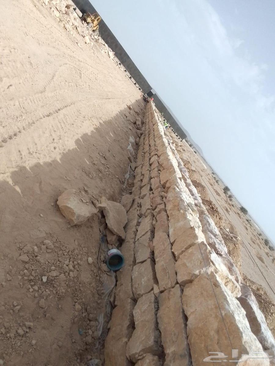 متخصصون في مجال البناء وزراعه النخل  جميع مناطق المملكه ا64458718759554111