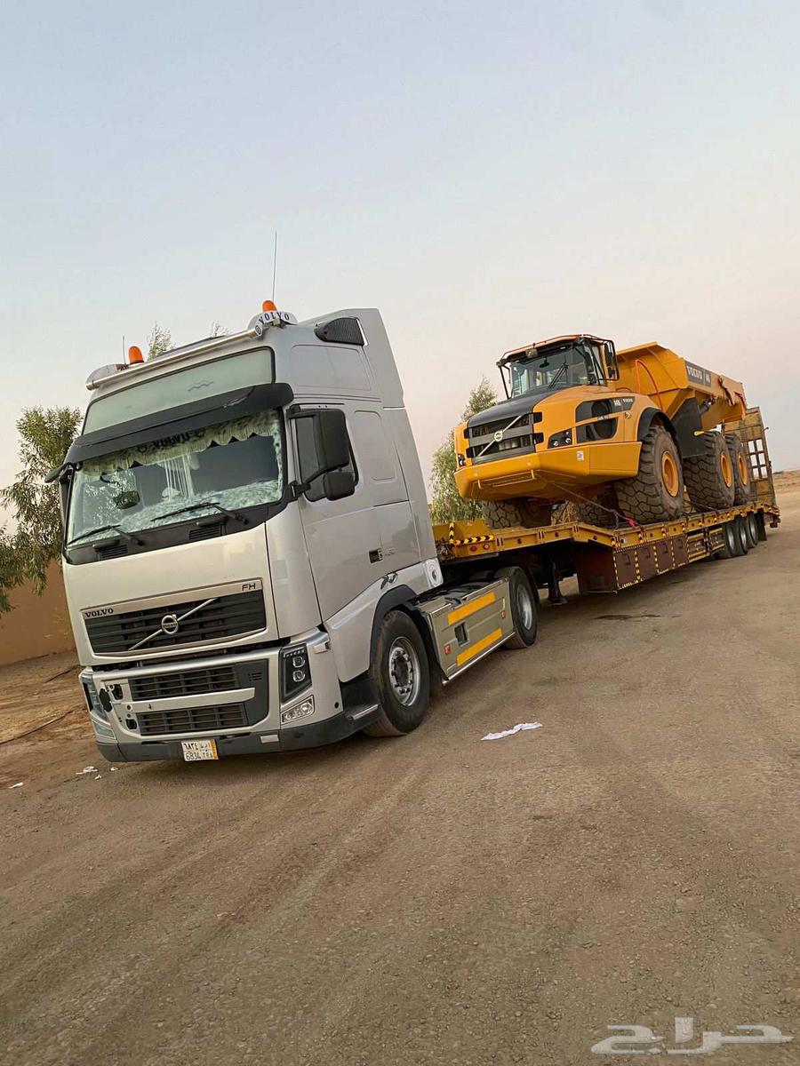 لوبد متواجد في الرياض64458840408706111