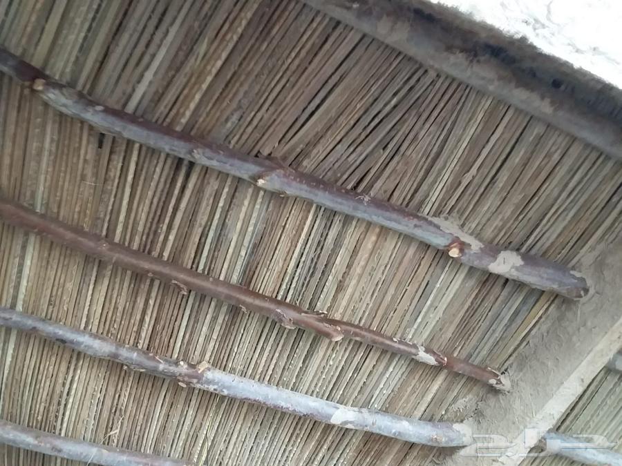 مقاول تراثيات البيوت الطين والربراب وغيرها بأسعار مناسبة64459153650051114